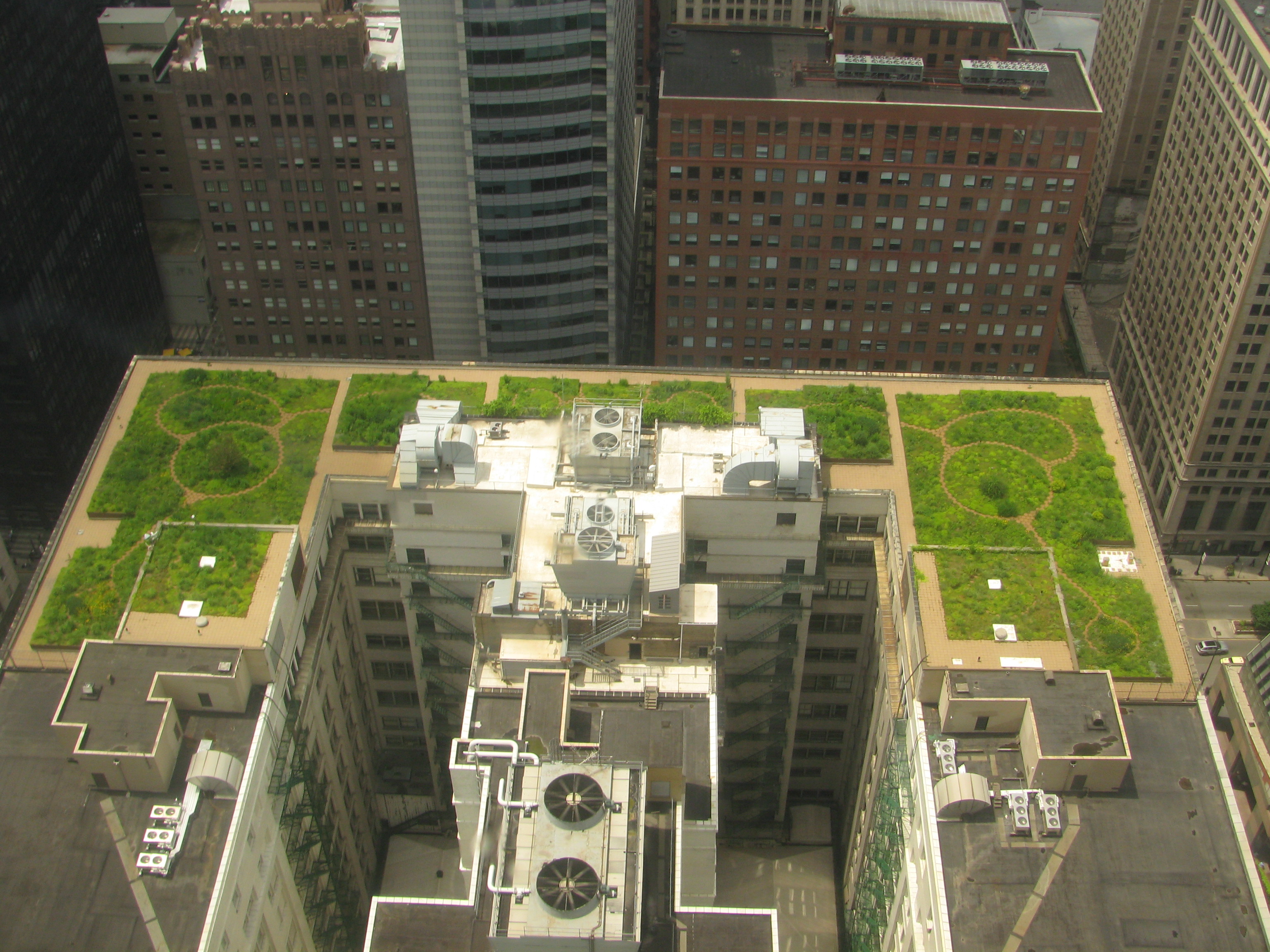 The Benefits of Green Rooftops