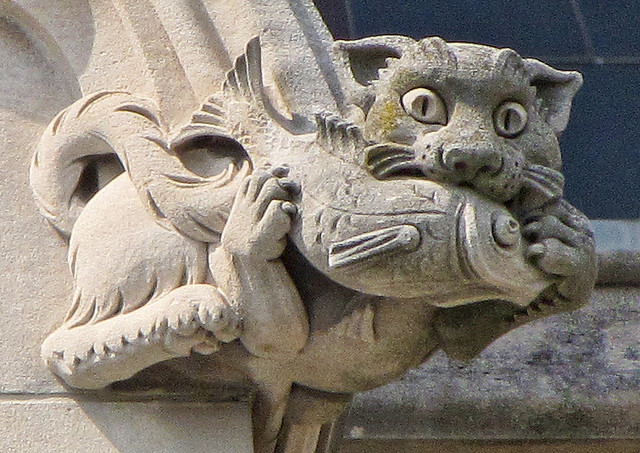 When Gargoyles Die