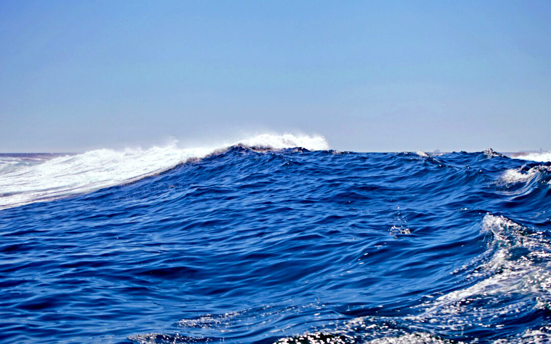 Enjoy the Motion Of The Ocean With Wave Energy Converters