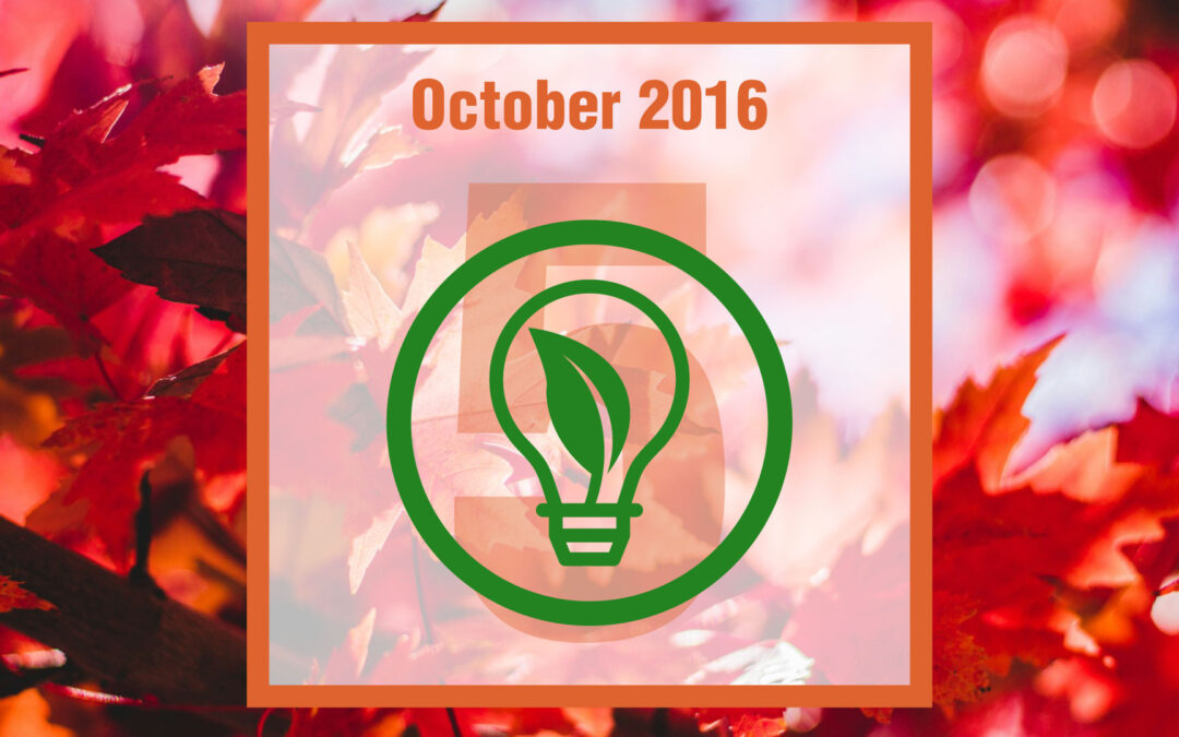 What Is Energy Efficiency Day