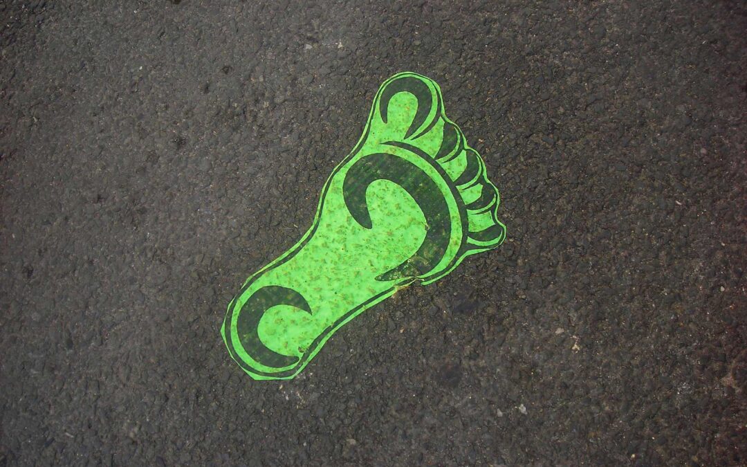 Making Homes Greener Is Reducing The Carbon Footprint