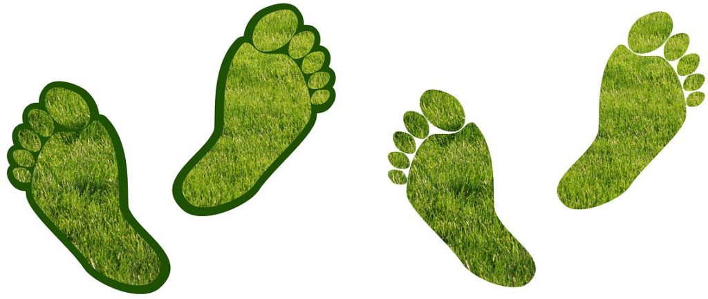 carbon-footprints