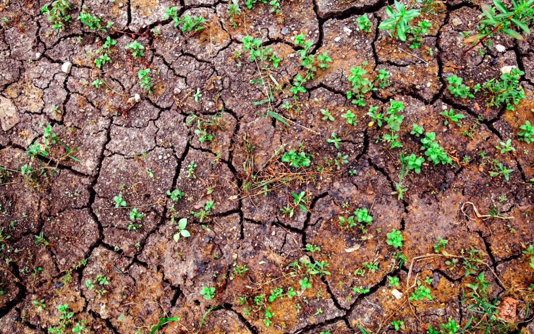 When Mining Stops, Reclamation Begins