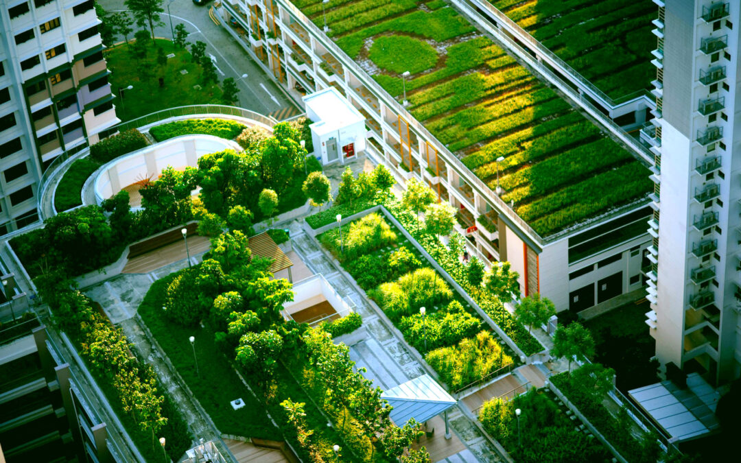 Advantages of Green Roofs