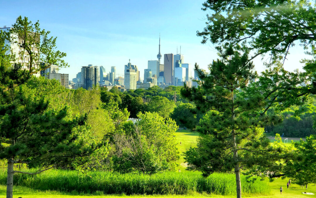 How Cities and Nature Can Coexist