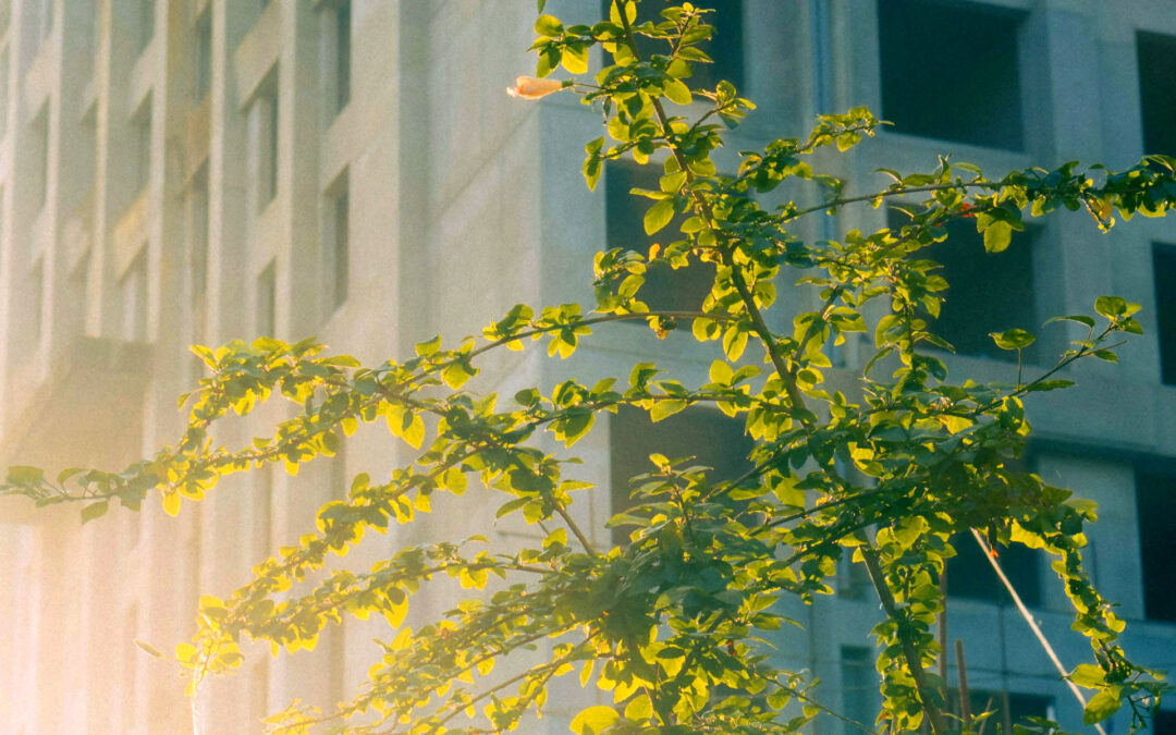 Why the Future Needs Green Buildings