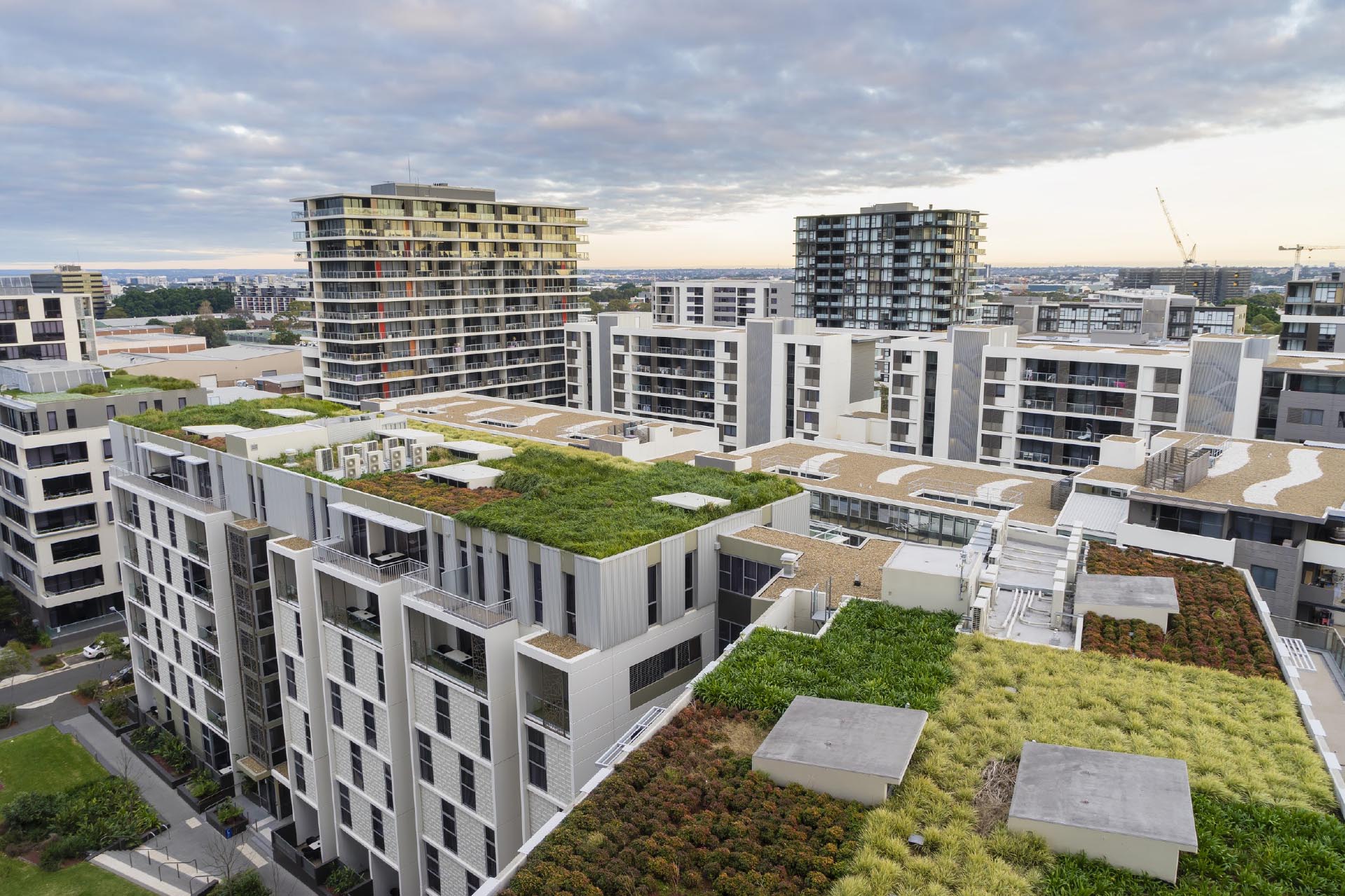 Advantages of Green Roofs