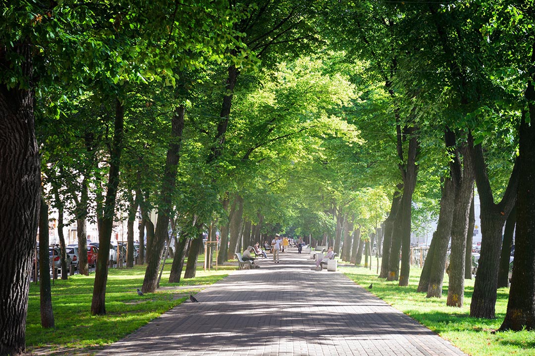 How to Design an Urban Park