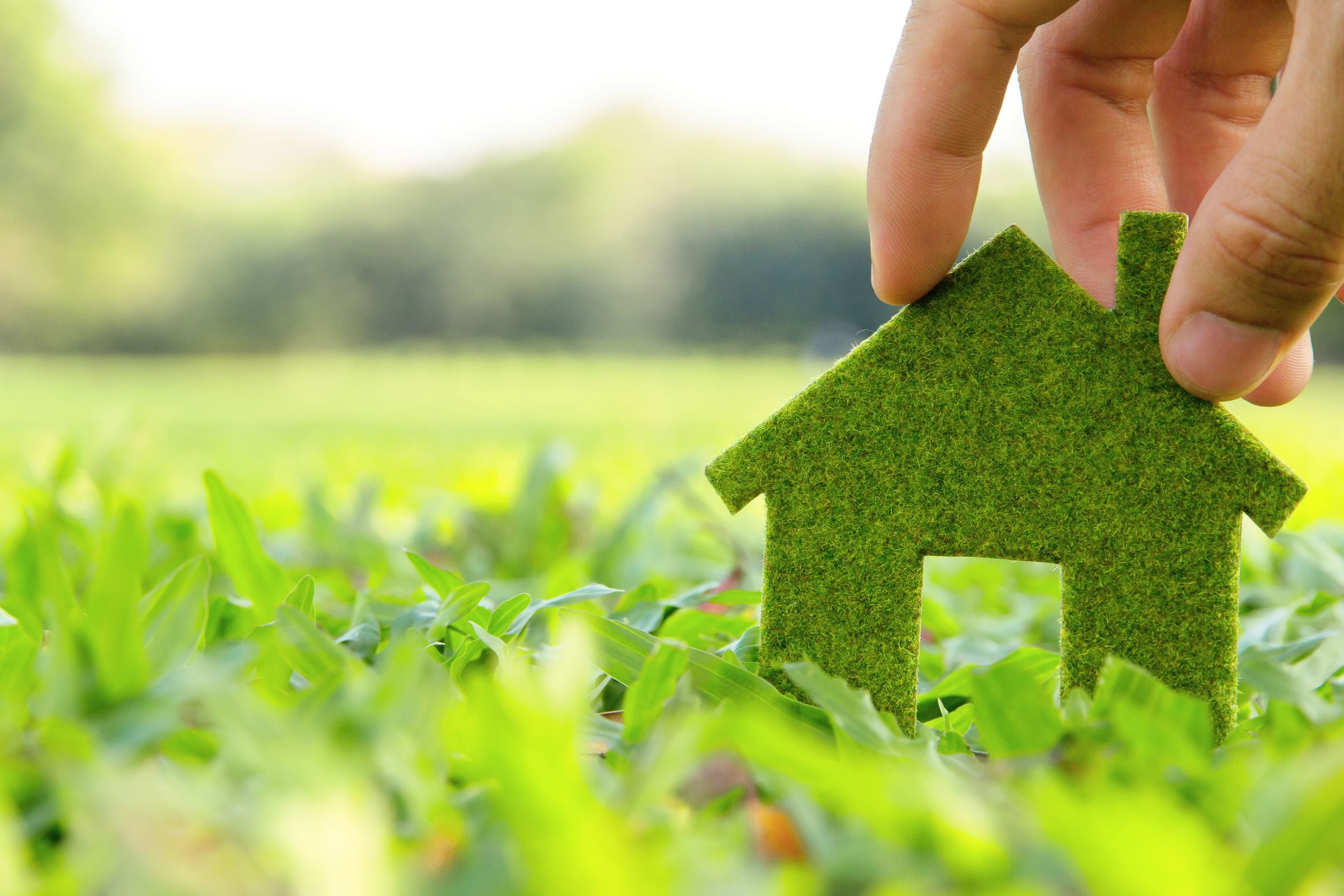 How to Make Your Home Healthier for You and for the Planet