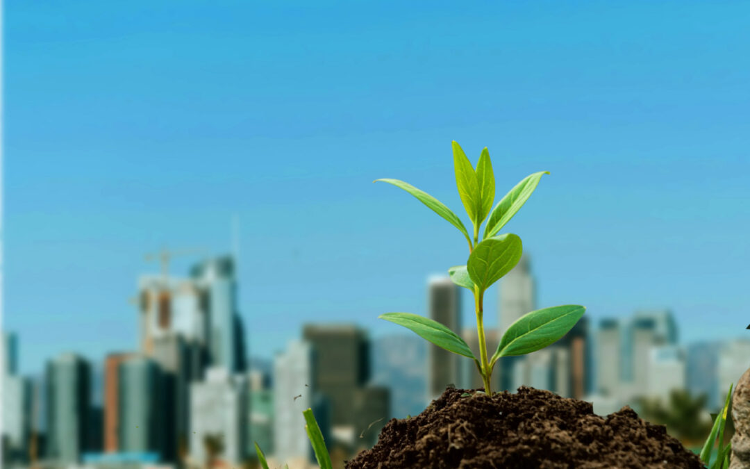 How Green Engineering Is Reshaping the Construction Industry