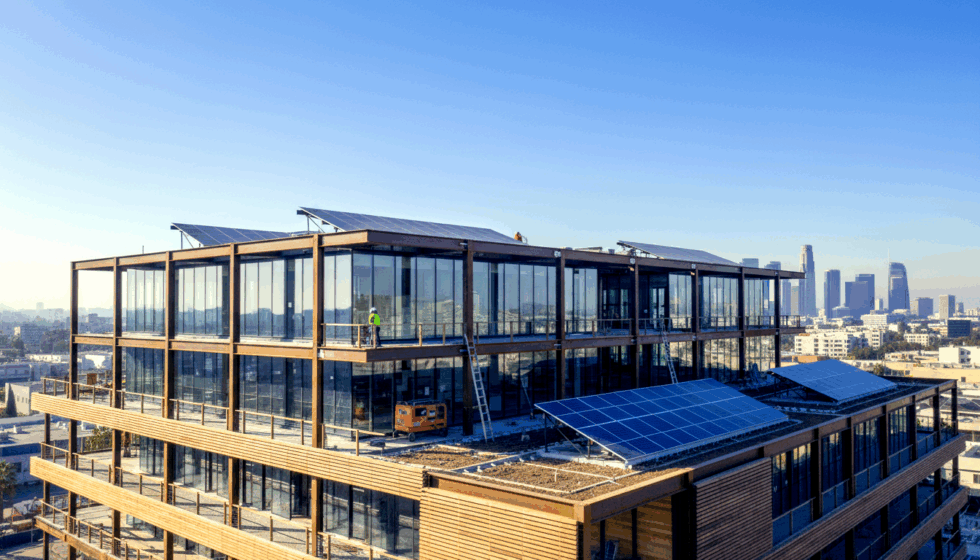 Gallery image with a fresh perspective